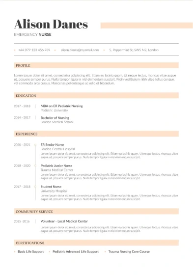 Resume example