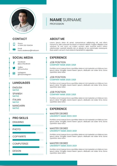 Resume example