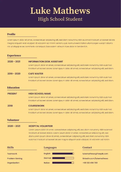 Resume example